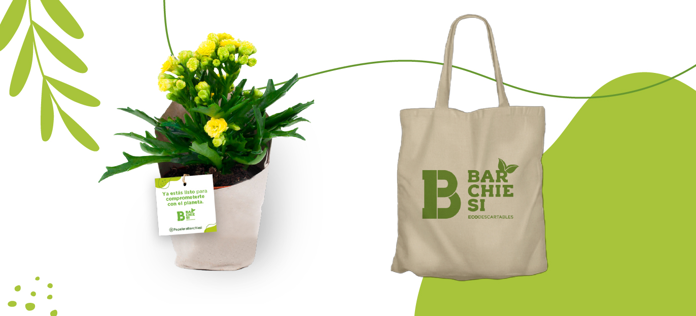 BARCHIESI ECO, EN FIAR